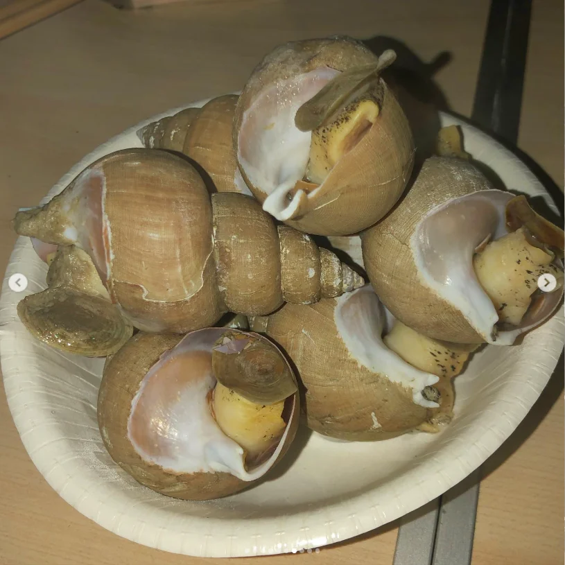 Cooking and eating, one after another — Haruru’s photograph