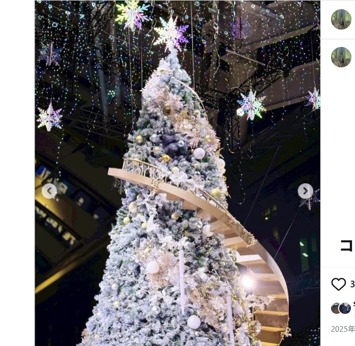 An unexpected tree in Shinjuku — Haruru’s photograph