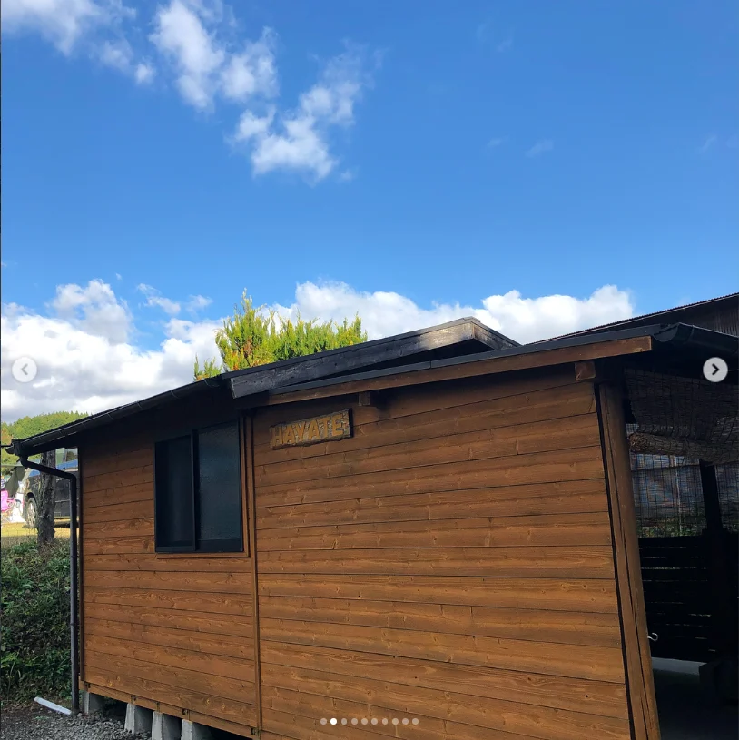 A bungalow stay instead of the bus tour — Haruru’s photograph