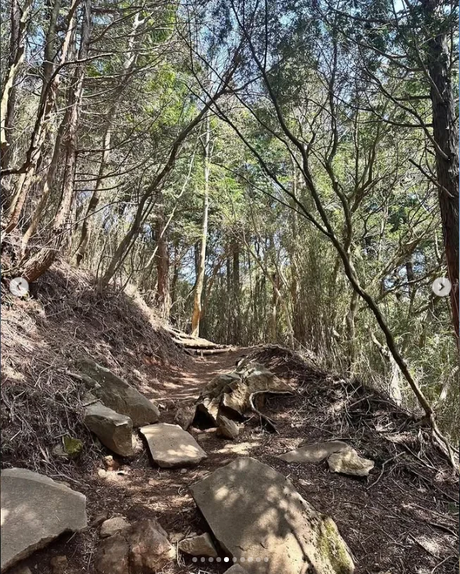 富士山を待った金時山と三ツ峠。山歩きのあとに食べて、温泉でひと休み — ハルルの写真