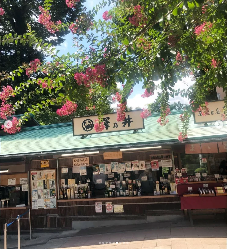 土産を買い、話して笑って帰宅 — ハルルの写真