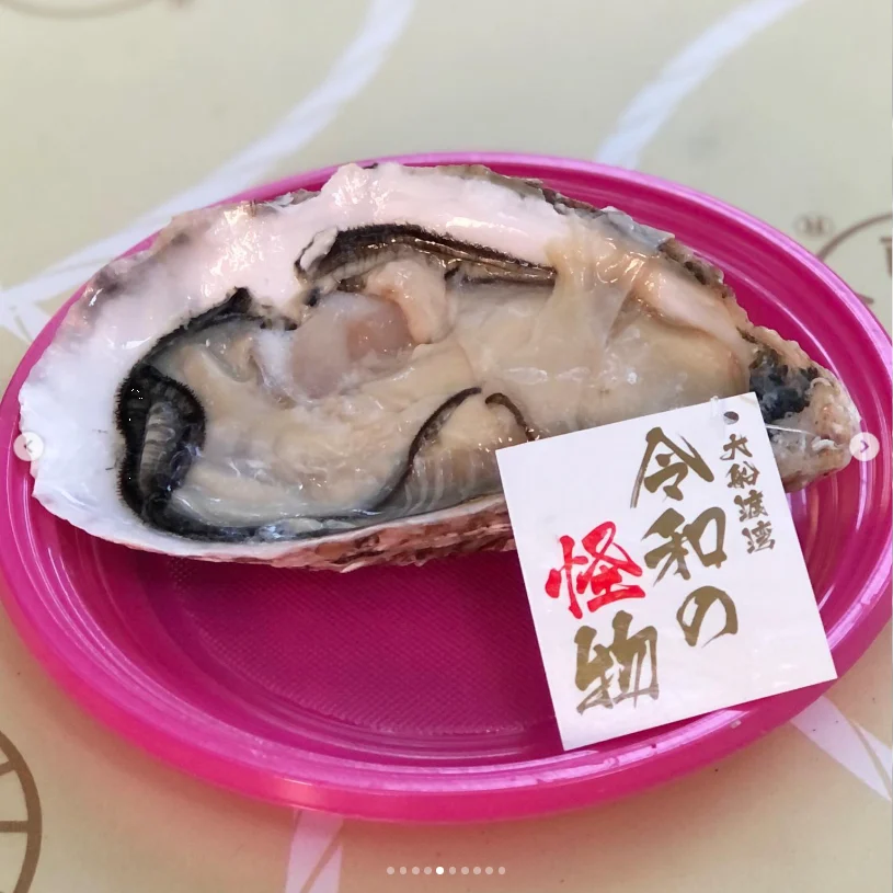The rock oyster that stood out — Haruru’s photograph
