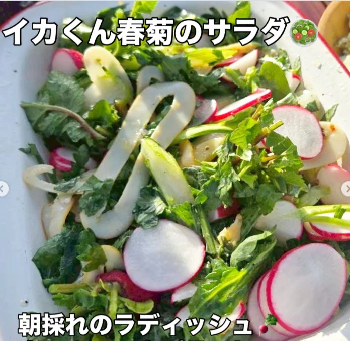 A variety of meals in the photographs — Haruru’s photograph