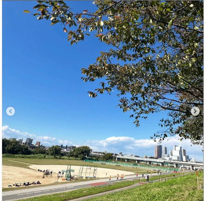 The last morning of a three-day weekend — Haruru’s photograph