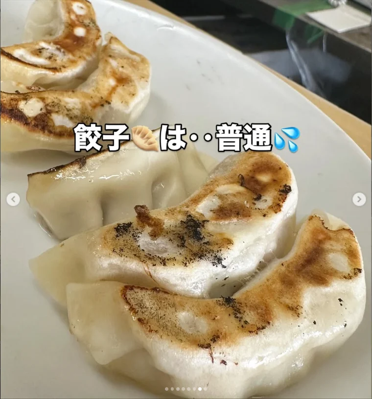 A row of browned pan-fried dumplings on a white plate, with Japanese text over the photograph.