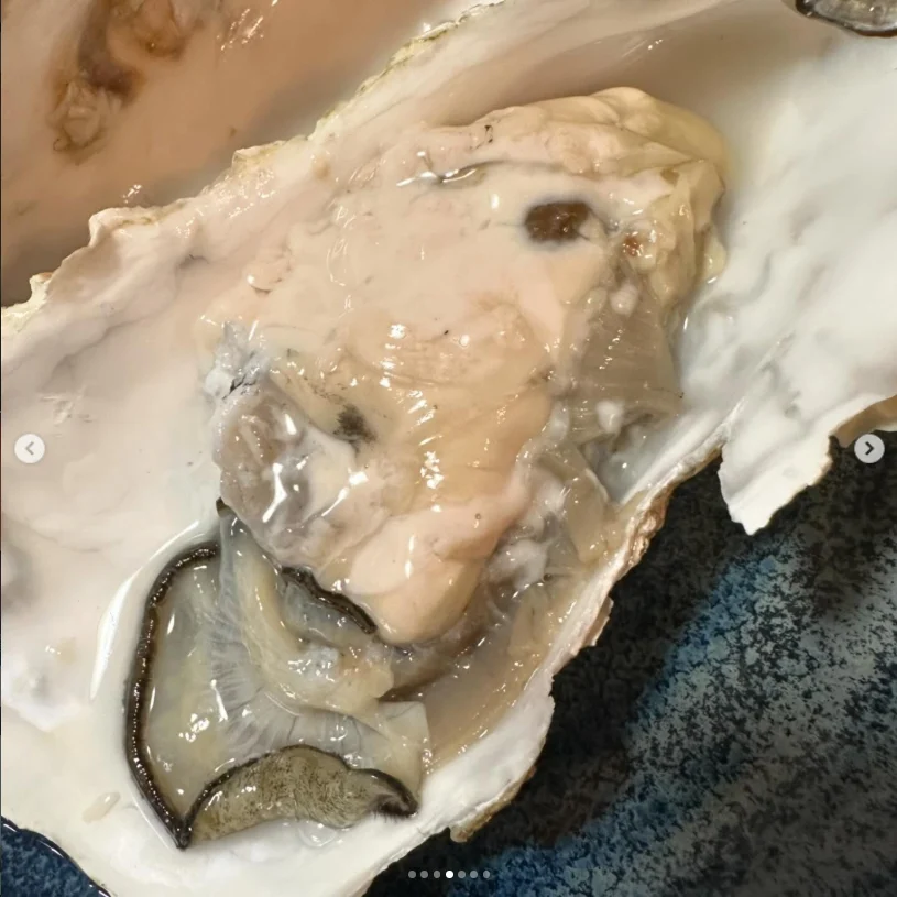 Generous uni, and oysters worth the effort — Haruru’s photograph