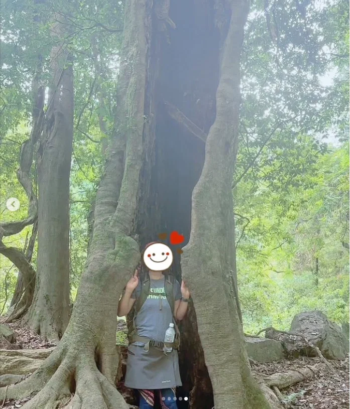 Trees, light and small details along the walk — Haruru’s photograph