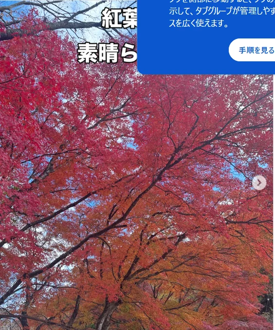 枝の間の青空と赤い葉 — ハルルの写真