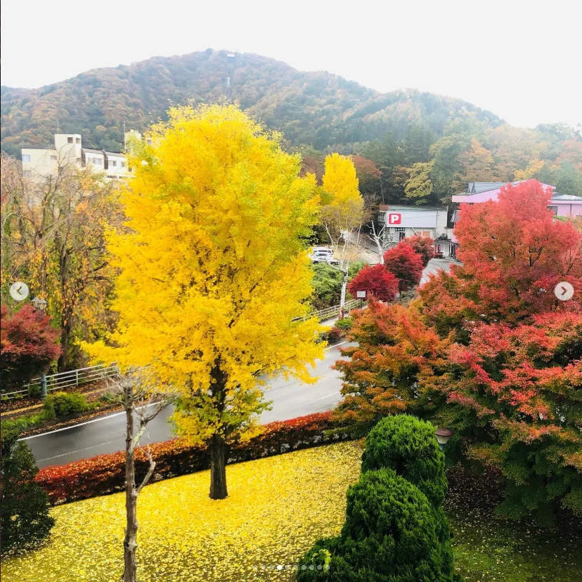星期日，欣赏红叶与蓝天 — Haruru 的照片