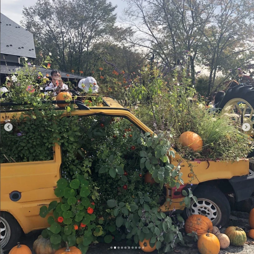 A bakery stop, autumn skies and more to browse — Haruru’s photograph