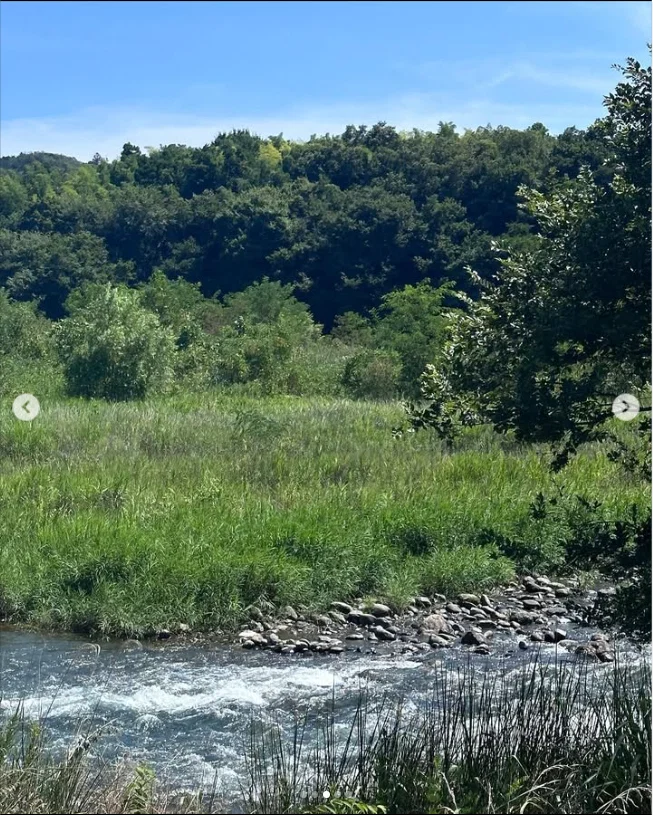 Watching the water in the July heat — Haruru’s photograph