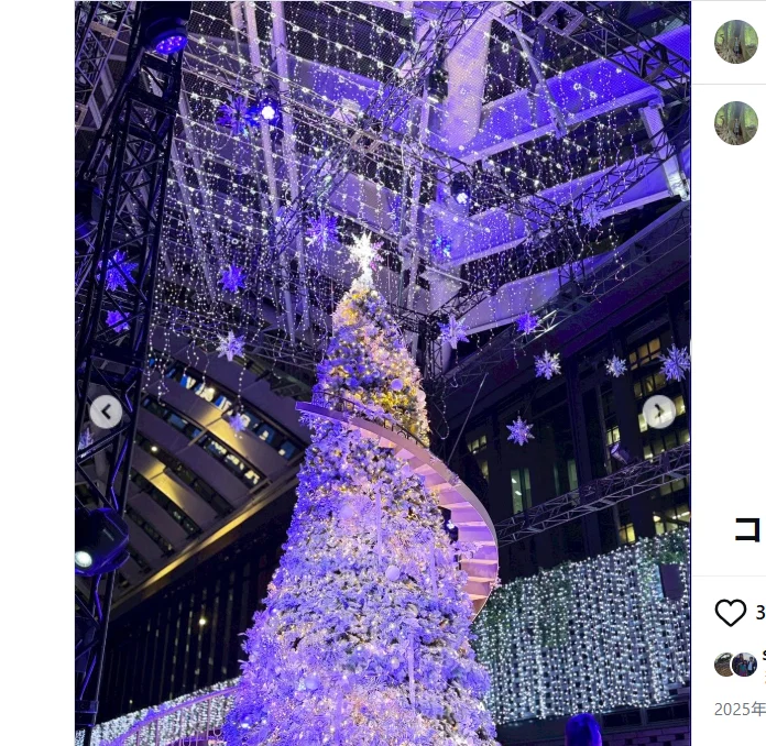 An unexpected tree in Shinjuku — Haruru’s photograph