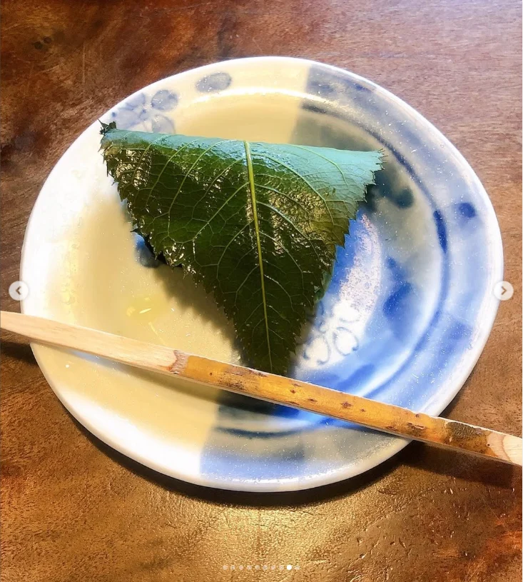 上野公園のしだれ桜と、韻松亭で旧友との昼食 — ハルルの写真