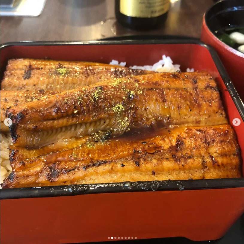 A two-layer eel lunch — Haruru’s photograph