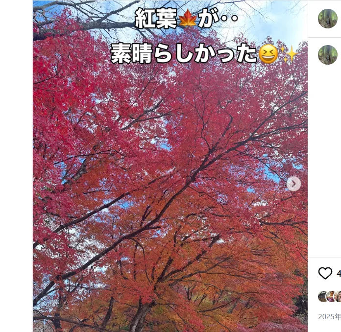 Autumn leaves and warm sunshine — Haruru’s photograph