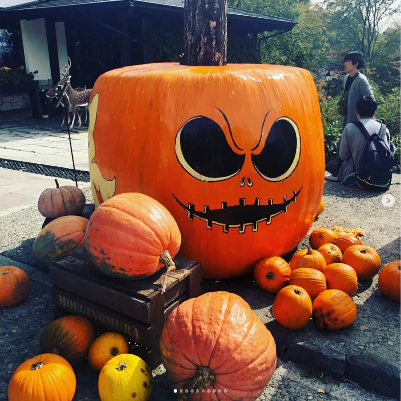 A bakery stop, autumn skies and more to browse — Haruru’s photograph