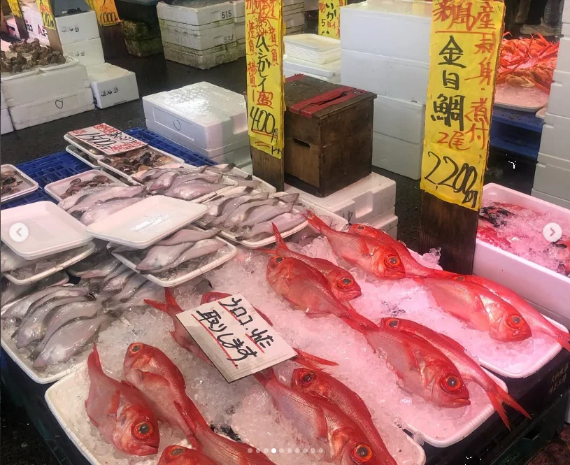 市场的海胆、鲑鱼卵，和带到住宿处的牡蛎 — Haruru 的照片