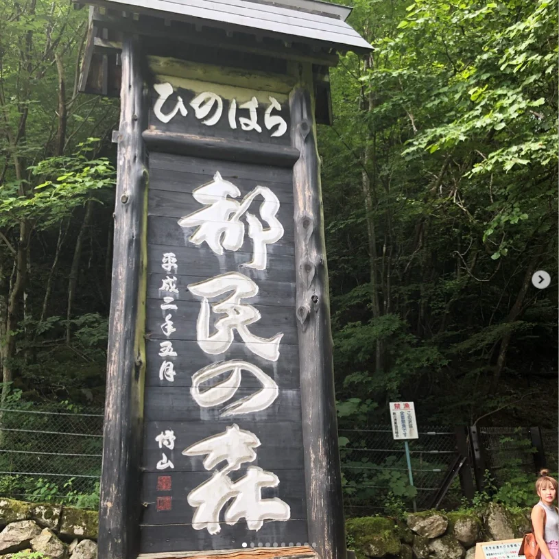 A first visit among the green trees — Haruru’s photograph