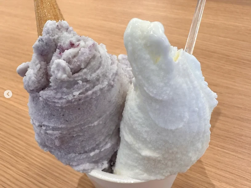 Milk and blueberry to finish — Haruru’s photograph