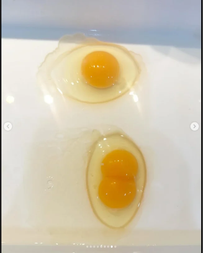 A surprise in the second egg on another morning — Haruru’s photograph