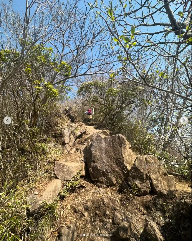富士山を待った金時山と三ツ峠。山歩きのあとに食べて、温泉でひと休み — ハルルの写真