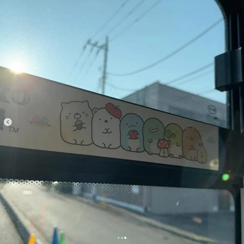 A warmer start to the morning — Haruru’s photograph