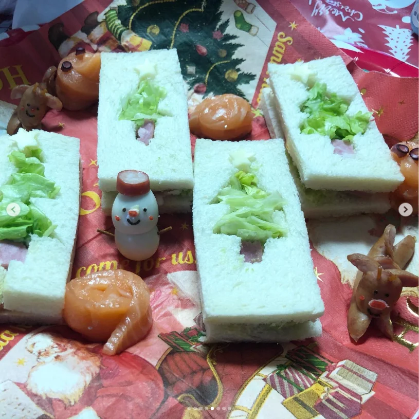 Stars and tree shapes across the table — Haruru’s photograph