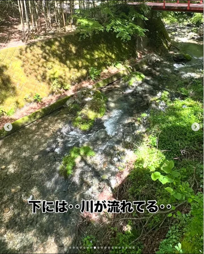 木々の緑と、橋の下に見える水辺 — ハルルの写真
