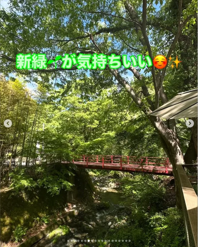 木々の緑と、橋の下に見える水辺 — ハルルの写真