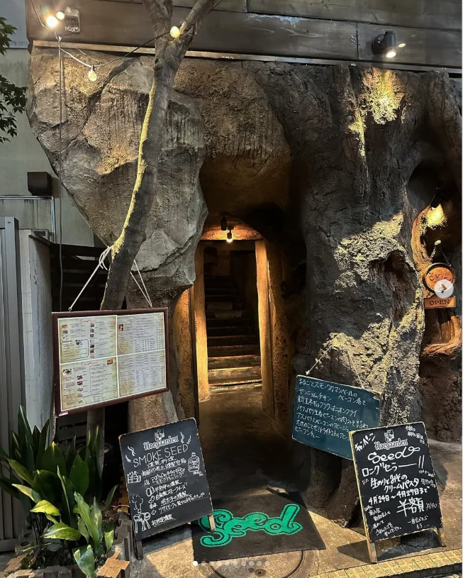 Up the stairs to an unfamiliar kind of seat — Haruru’s photograph