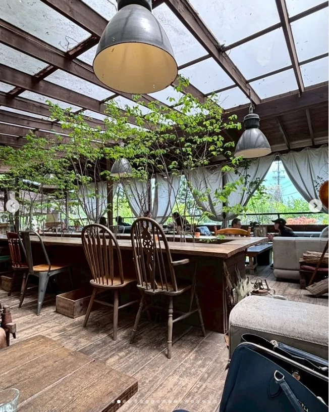 Wooden tables, greenery and colours on the table — Haruru’s photograph