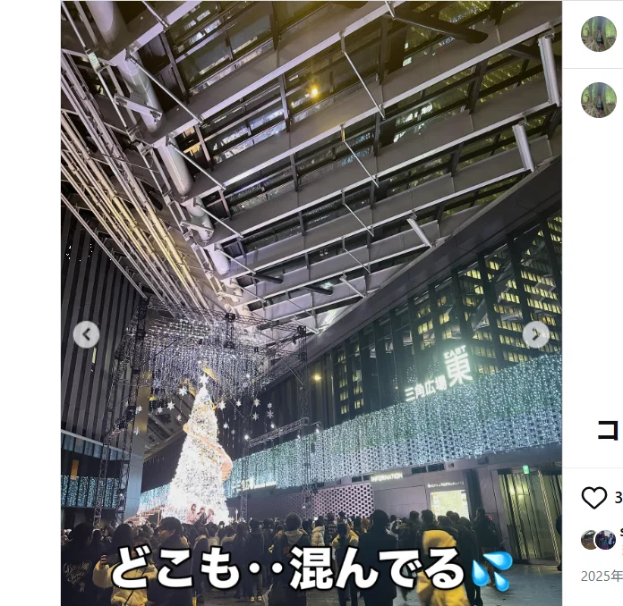An unexpected tree in Shinjuku — Haruru’s photograph