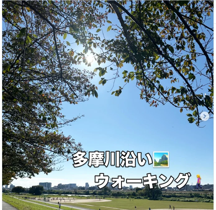 The last morning of a three-day weekend — Haruru’s photograph