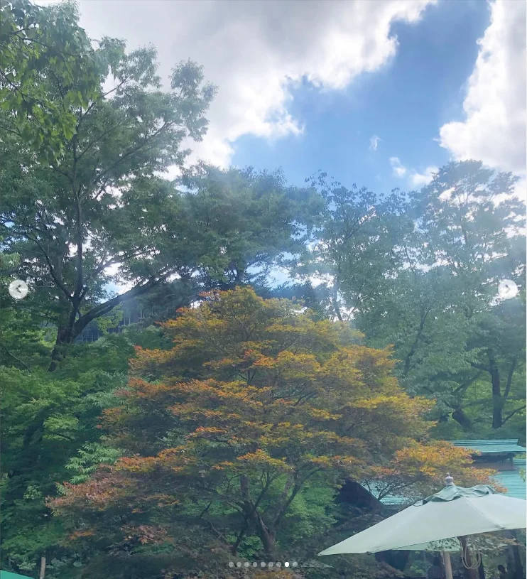 きれいな景色と、あっという間に溶けるかき氷 — ハルルの写真
