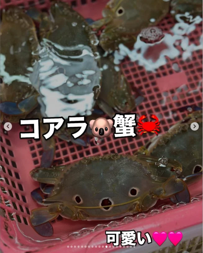 食後の市場で、料理とは違う驚き — ハルルの写真