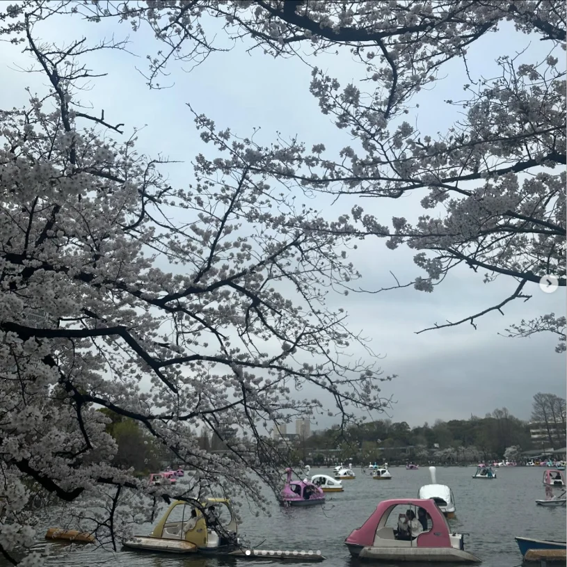 A busy park, followed by a leisurely lunch at LUCIS GARDEN — Haruru’s photograph