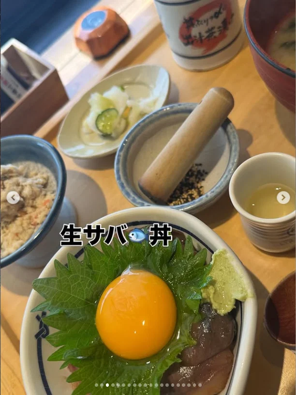 Mackerel and tuna rice bowls — Haruru’s photograph