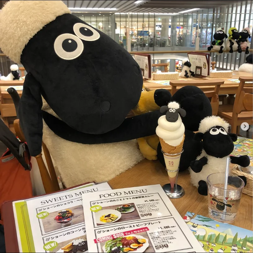 Shaun all around the room — Haruru’s photograph