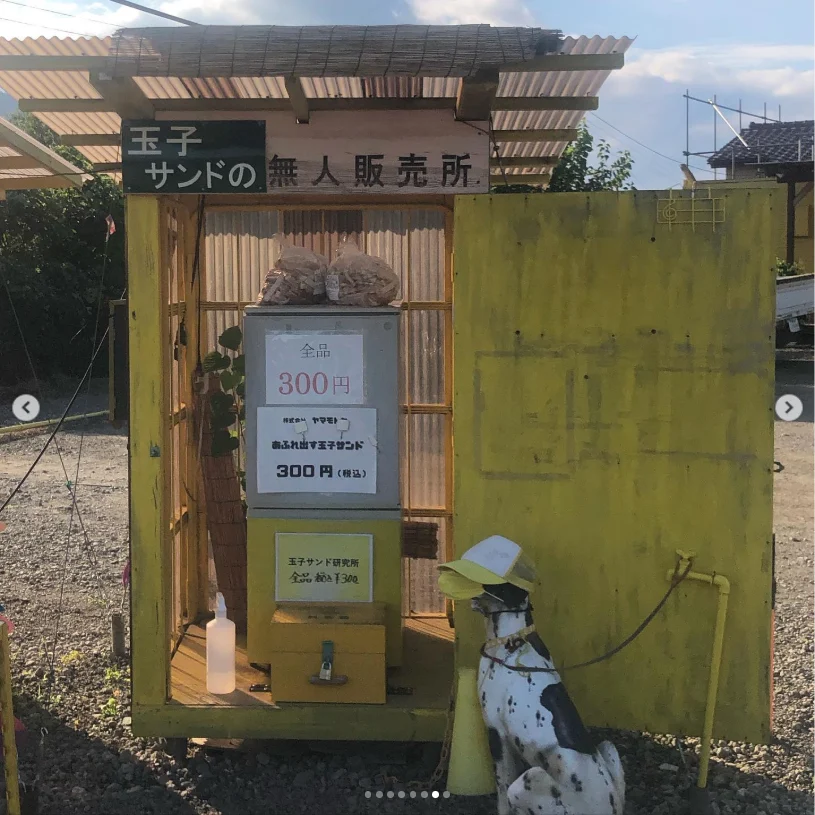 Egg sandwiches nearby — Haruru’s photograph