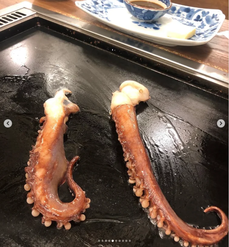 The squid starter that stood out — Haruru’s photograph