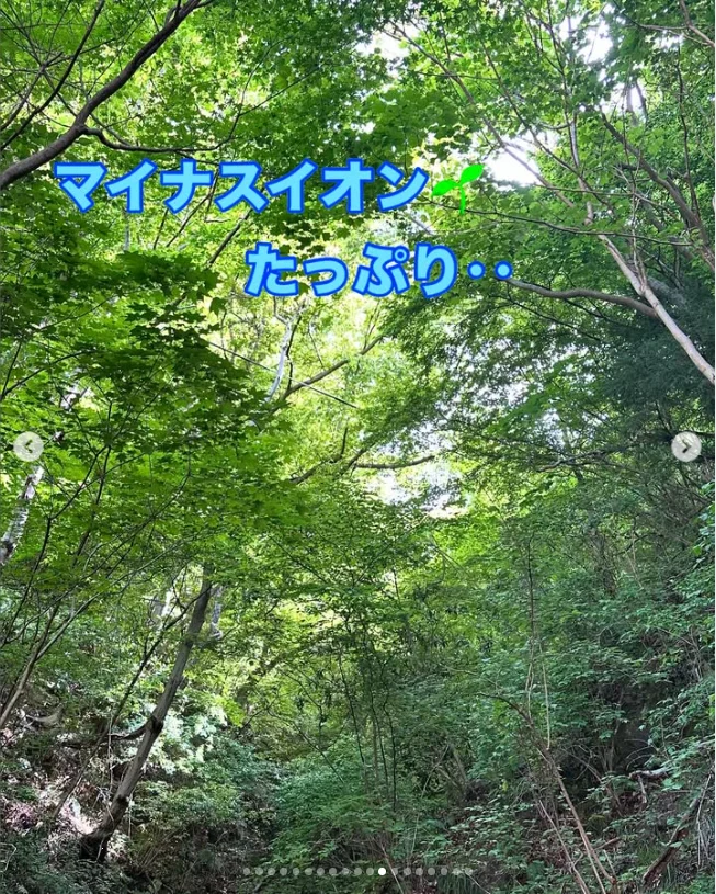 木々の緑と、橋の下に見える水辺 — ハルルの写真