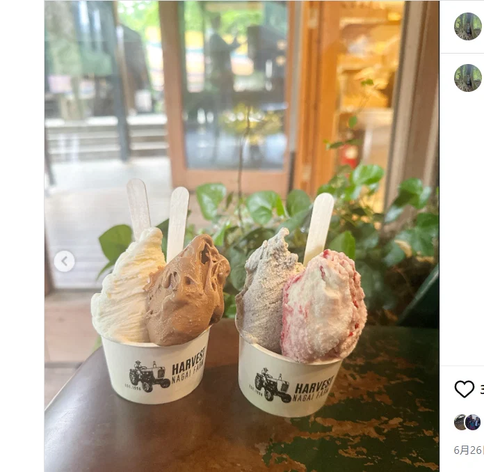 新緑の軽井沢へ、朝のホットドッグとツルヤのはしご — ハルルの写真