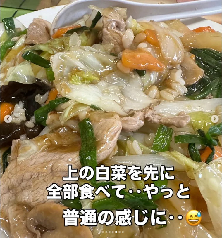 A plate covered with vegetables and meat in glossy sauce, with Japanese text over the photograph.