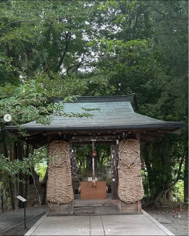 諏訪湖の花火から大町の宿へ。ひまわりも楽しんだ一泊二日の旅 — ハルルの写真