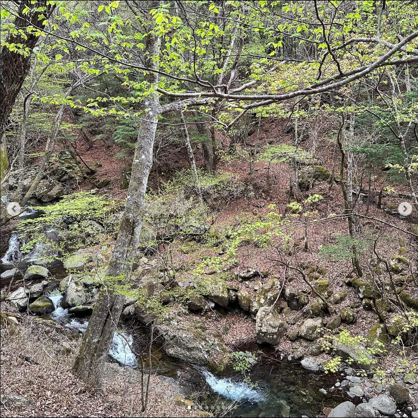 富士山を待った金時山と三ツ峠。山歩きのあとに食べて、温泉でひと休み — ハルルの写真