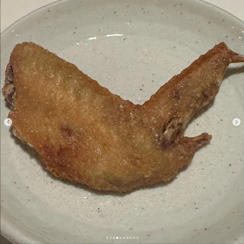 The wings she had come to try — Haruru’s photograph