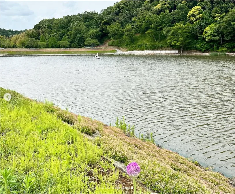 Getting around the spacious grounds — Haruru’s photograph