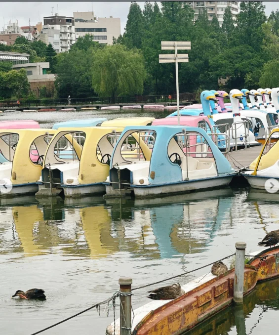不忍池の雰囲気を楽しみ、カヤバ珈琲へ — ハルルの写真