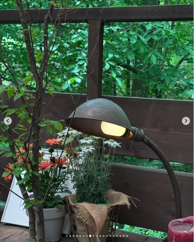 Wooden tables, greenery and colours on the table — Haruru’s photograph