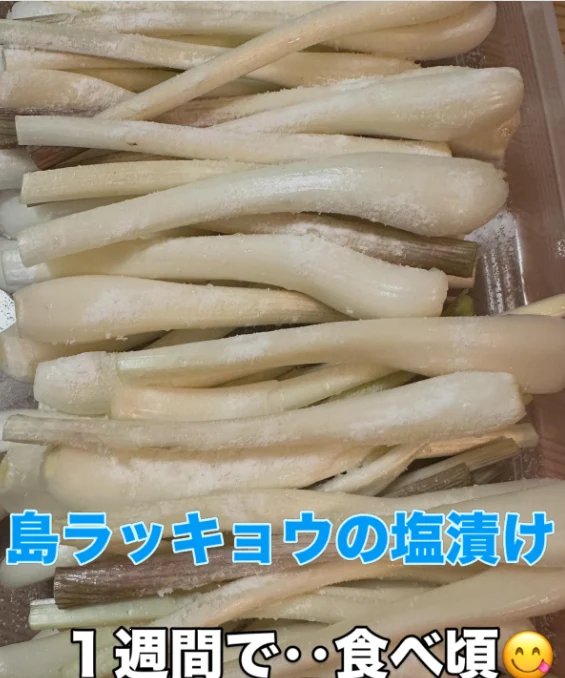 島ラッキョウと行者ニンニク、写真に添えた料理の言葉 — ハルルの写真